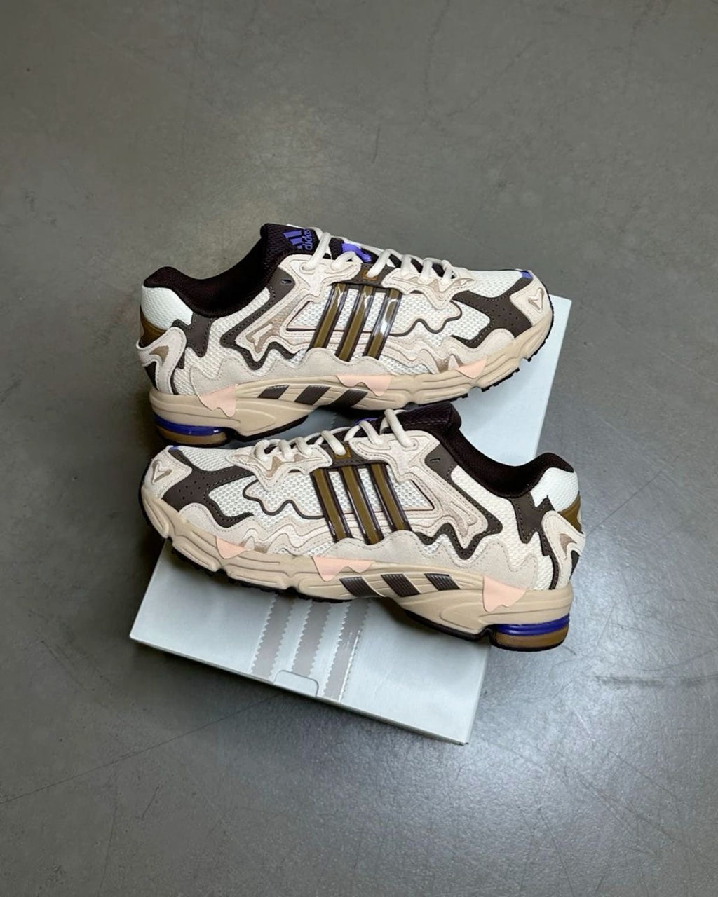 BadBunny (Paso Fino)